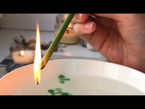 Видео: ПОСЛАНИЕ ДУХОВ РОДА🌳ГАДАНИЕ НА СВЕЧЕ 🕯 #посланиерода #магиявоска #магиясвечи #онлайнгадание 