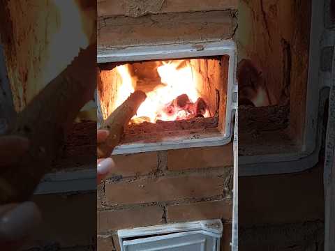 Видео: Дешеві спиці 😳 із Аврори, квіти, піч та котики 😻