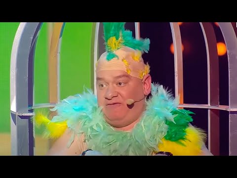 Видео: РЖАЧ! Попугай рассказал жене чем занимался муж - это просто истерика от смеха! Порвали зал в клочья!