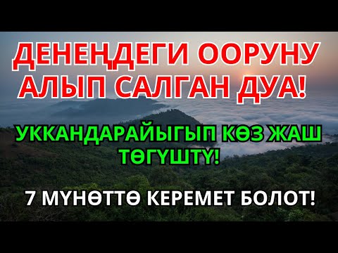 Видео: АРЫСЫ ЖОК ООРУГА ШЫПАА! Бул дуба менен керемет мүмкүн | 3