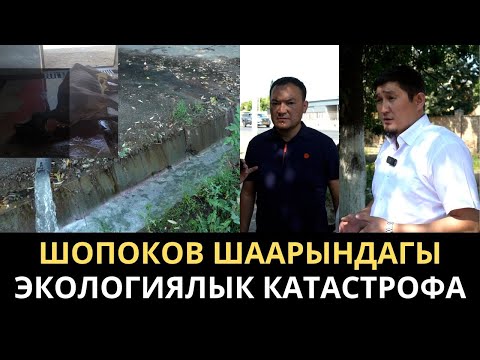 Видео: 47 уй өлүп, сууга ойногон балдар ооруканага түшкөн. Жарылган канализация 3 айдан бери оңдолгон эмес