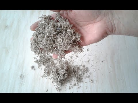 Видео: Заготовка из яичных лотков для папье-маше