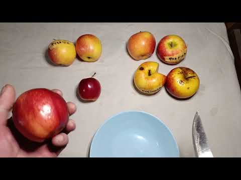Видео: Яблука в кінці січня.