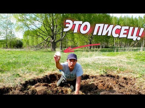 Видео: 18+ Снесло крышу по полной, от такой находки.  Коп монет и артефактов 2019.