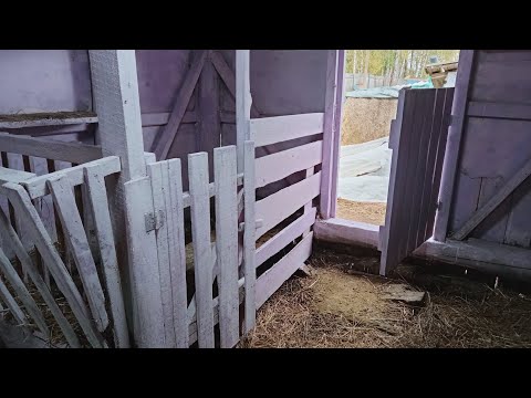 Видео: Покраска козлятника. Белка слегла.