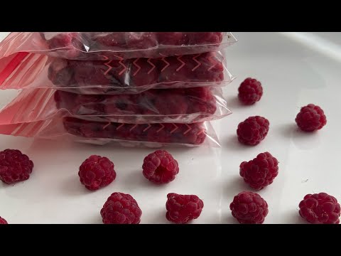 Видео: Как заморозить малину/Малинп на зиму (Малинаны сақтау әдісі) #малина