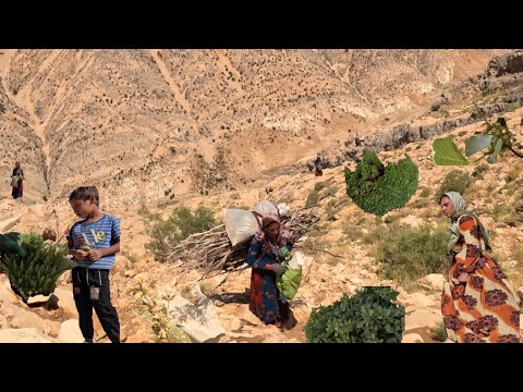 Видео: Кочевая жизнь: Девушка-кочевница в диких горах 🏔️ | Кочевая жизнь и древнее целительство 🌞