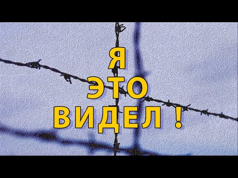 Видео: Я это видел!