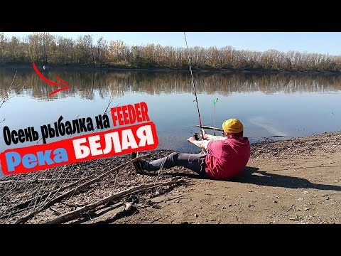 Видео: Осень рыбалка на фидер р.Белая - Новое Место будет ли тут ЛЕЩ???