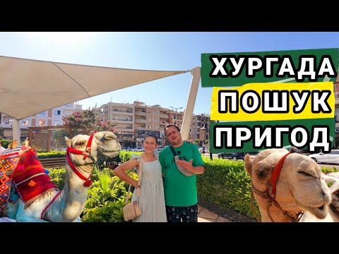 Видео: Полювання за червону рибу в Хургаді! Район Каусер.