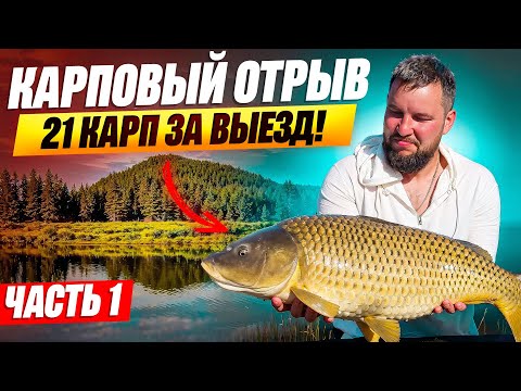 Видео: Лучший Выезд — 21 Карп за Рыбалку  Карпфишинг на Озере 2025 часть 1