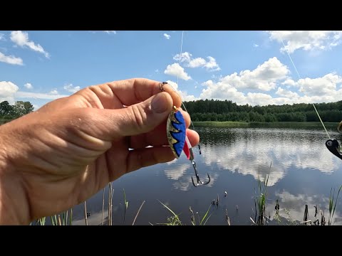 Видео: БЛЕСНА KUUSAMO , ПОЖАЛУЙ САМАЯ УНИВЕРСАЛЬНАЯ БЛЕСНА НА ОКУНЯ И ЩУКУ!