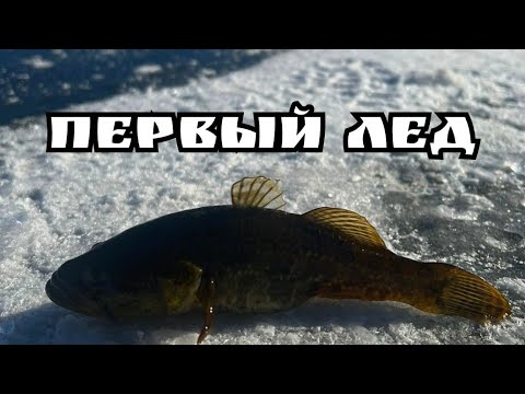 Видео: Первый лёд. Рыбалка на ротана. 5.11.2022...