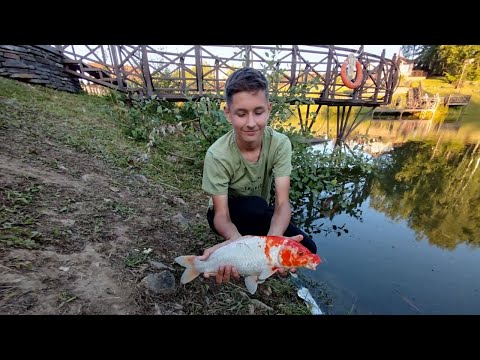 Видео: Рыбалка на базе отдыха капитан|сломали удочку|рыбалка на щуку и карпа 