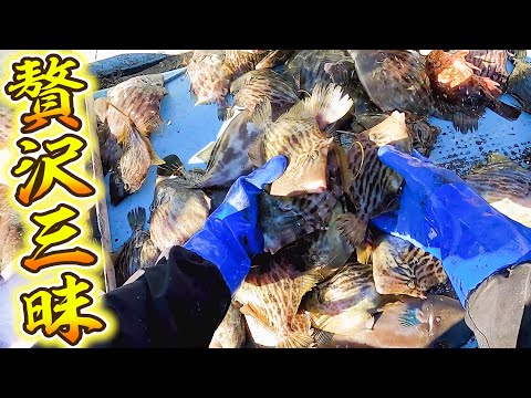 Видео: Было поймано большое количество FILEFISH! Я научу тебя готовить как рыбак.
