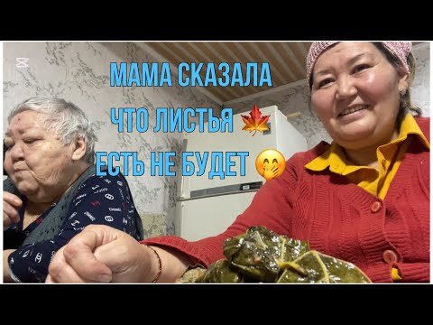 Видео: Как я пекла Казахские булочки 🥐 Каракозы 😄впервые готовила Долму 😁