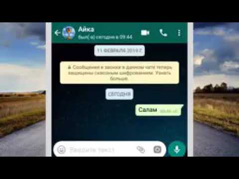 Видео: Ит эле болду