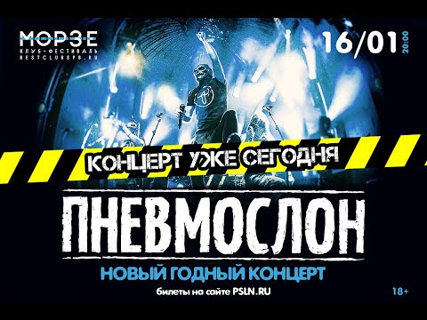 Видео: Пневмослон - Новый Годный Концерт (16.01.2021 СПБ, клуб Морзе)