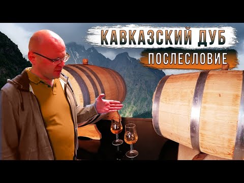 Видео: Кавказский дуб. Послесловие.