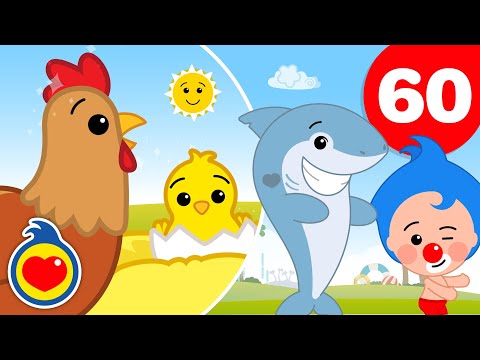 Видео: Курочка и её цыплята ♫ и 60 минут Песни Для Детей ♫ Плим Плим