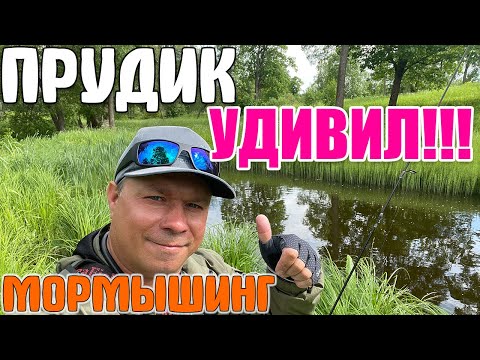 Видео: #52 КУЧА РЫБЫ. Мини Прудик в Парке УДИВИЛ!!! #мормышинг #nanojig #стритфишинг