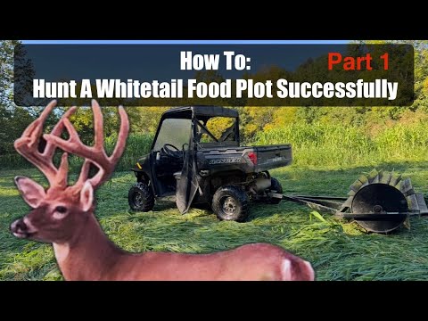 Видео: Как успешно охотиться на кормовой участок белохвостого оленя (часть 1)