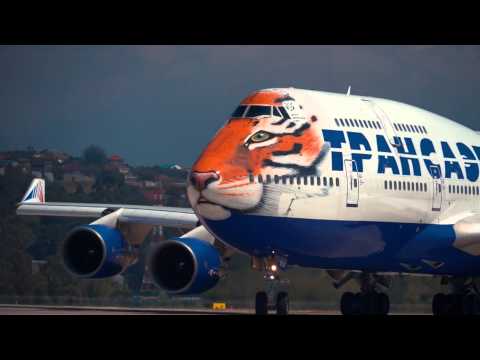 Видео: Боинг 747-400 Трансаэро с ливреей тигра на носу