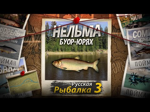 Видео: "Мутант" Нельма. Буор-Юрях. Русская Рыбалка 3.