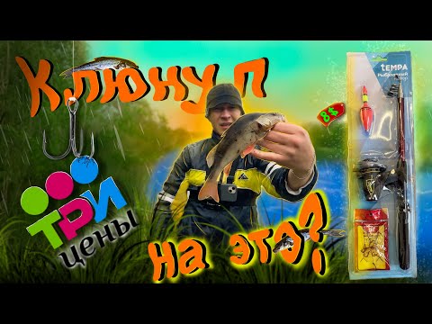 Видео: ✅УДОЧКА ИЗ "ТРИ ЦЕНЫ" КОСИТ ХИЩНИКА!