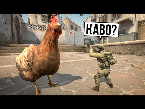 Видео: Необычные консольные команды cs:go