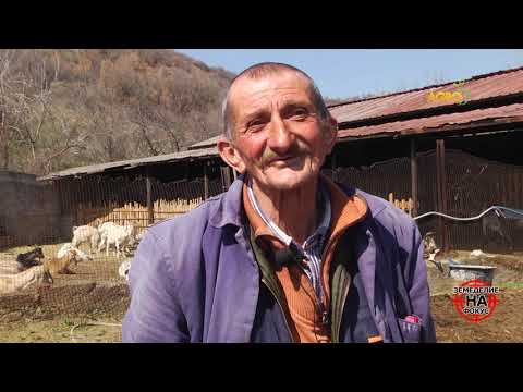 Видео: Земеделие на фокус: Козевъди в сърцето на Рила, автор: Анета Божидарова