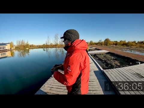 Видео: Соперник подобрал проводку. Варианты анимации блесны для ловли прудовой форели со дна.