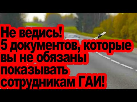 Видео: «Не ведитесь» 5 документов, которые вы не обязаны показывать Гаишникам