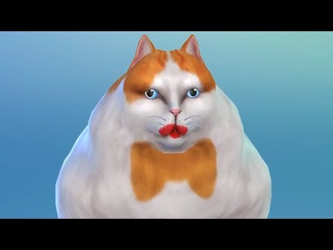 Видео: История ужасов Симолеона: Шоу уродов