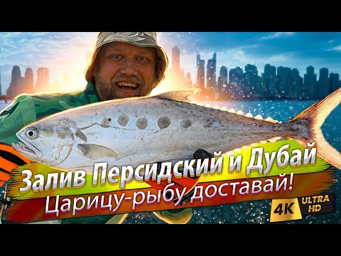 Видео: 🇦🇪 Морская рыбалка в Эмиратах. Что можно поймать с берега?