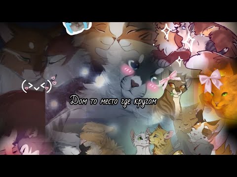 Видео: Коты воители клип (дом то место где кругом) { house is the place where all around} 💋