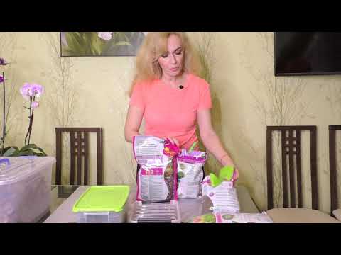 Видео: КОРА. ВИДЫ КОРЫ. Подготовка, обработка и использование.