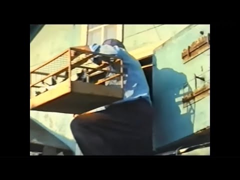 Видео: Рябикин. Продолжение хроник русского голубеводства.