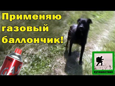 Видео: 3 день похода по лесам Брянской области_день 3.1