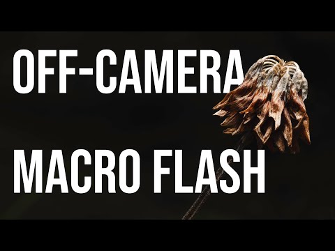 Видео: Использование внешней вспышки для макросъемки леса (руководство по макроосвещению)