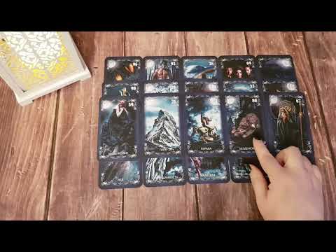 Видео: МАЧО МЕСТА СЕБЕ НЕ НАХОДИТ! ЧТО ЖЕ С НИМ СЕЙЧАС ПРОИСХОДИТ?