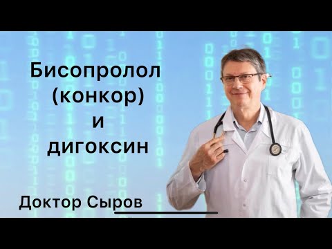 Видео: 1 февраля 2025 г.