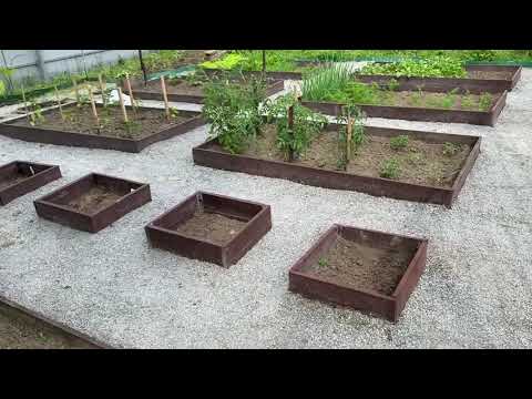 Видео: Дача. Участок после зимы. Стройка Бани.