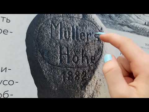 Видео: Асмр тапинг без слов по Куршской косе / Asmr tapping and scratching no talking