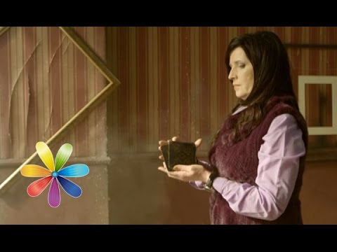 Видео: 5 бытовых примет. Что правда, а что – вымысел? - Все буде добре - 10.02.15 - Все будет хорошо