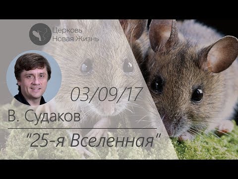 Видео: Виктор Судаков – 25-я Вселенная