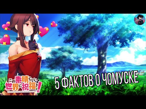 Видео: Коносуба ➤ 5 Фактов о Чомуске | Факты о Коносубе