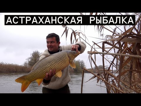 Видео: ЗАСТРЯЛИ НА ОСТРОВЕ: Ловля крупных сазанов. Приключения с поломкой мотора