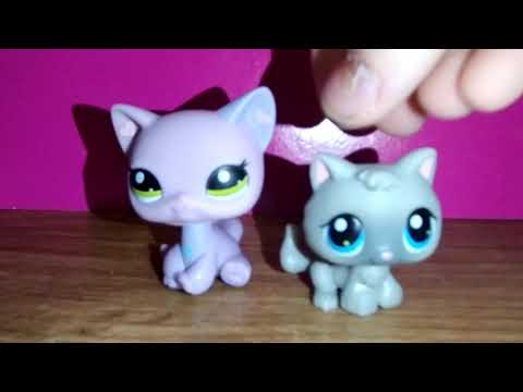 Видео: распоковка посылки с новыми петами! Lps