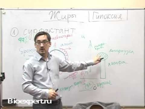 Видео: Лимфа и причины воспаления лимфоузлов